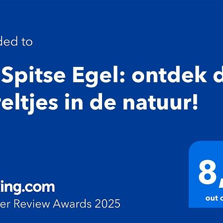 De Spitse Egel: Ontdek De Pareltjes In De Natuur! Otterlo Kültér fotó
