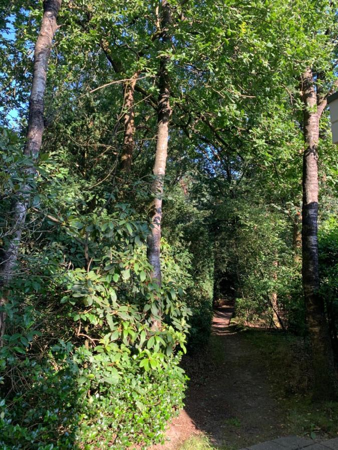 De Spitse Egel: Ontdek De Pareltjes In De Natuur! Otterlo Kültér fotó