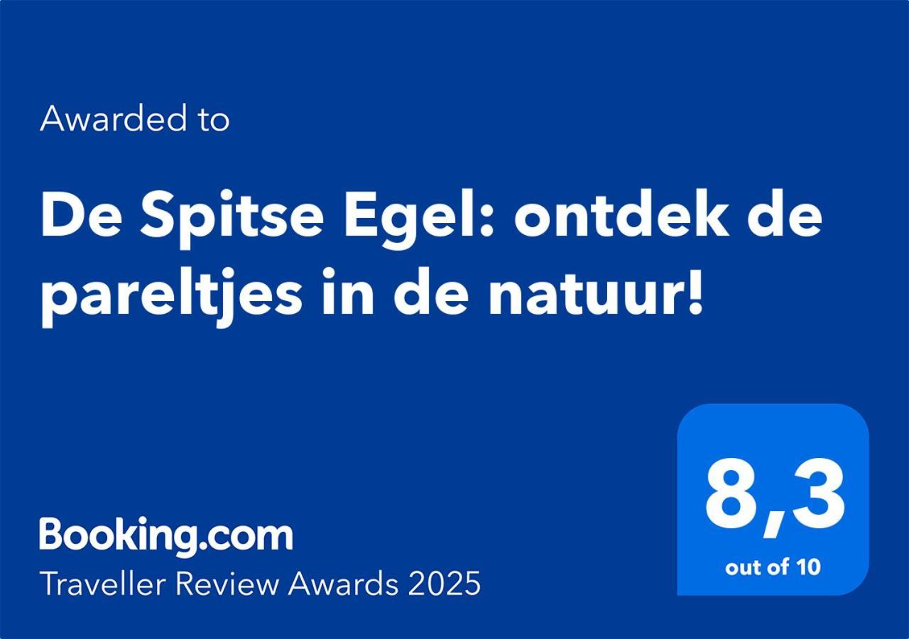 De Spitse Egel: Ontdek De Pareltjes In De Natuur! Otterlo Kültér fotó